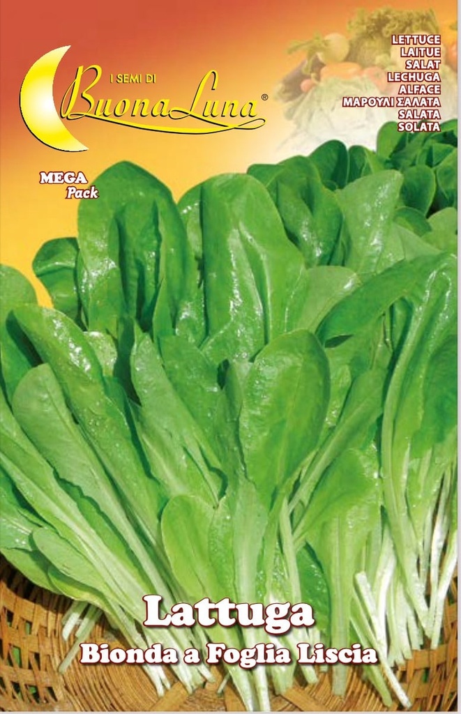 Semillas De Lechuga Rubia Hoja Lisa