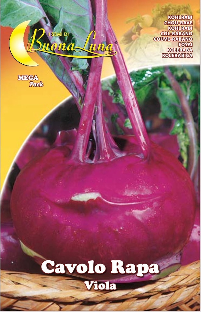 Semillas De Repollo Nabo De Viena Purpura