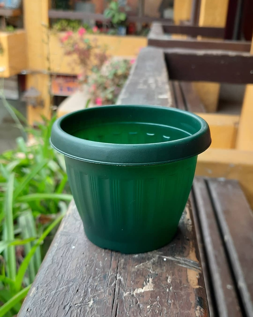Macetero M6.5 redondo color Verde Oscuro
