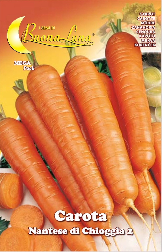 Semillas De Zanahoria Nantese Di Chioggia